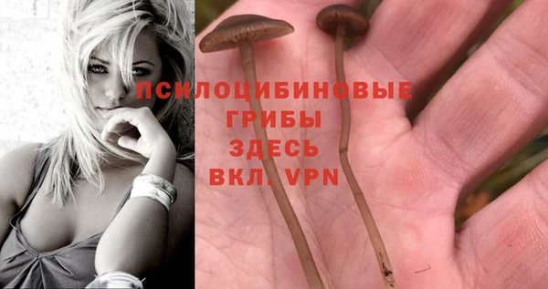 герыч Белоозёрский