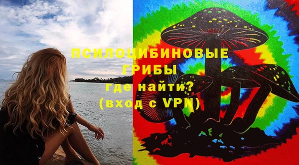 СК Белокуриха